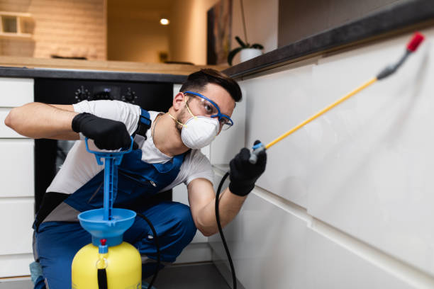 Best Mosquito Control Services  in Savannah, GA