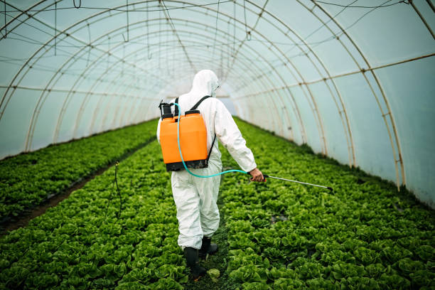 Reliable Savannah, GA Pest Control Solutions