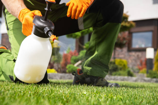 Best Termite Control Services  in Savannah, GA