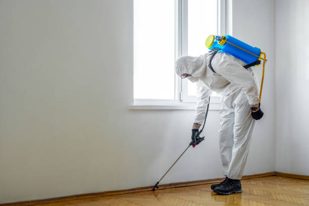 Best Cockroach Control Services  in Savannah, GA