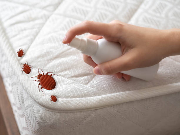 Best Affordable Pest Control Services  in Savannah, GA