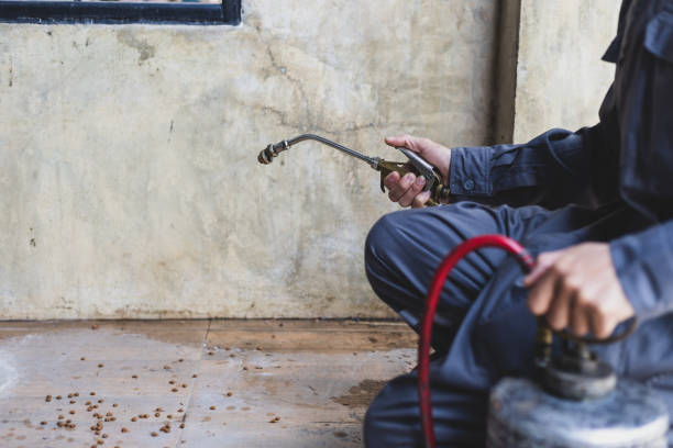 Best Wasp Removal Services  in Savannah, GA