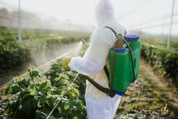 Best Emergency Pest Control  in Savannah, GA